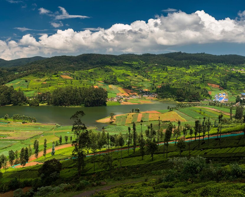 2 Nights 3 Days Ooty tour package from Mysuru with scenic tea plantations