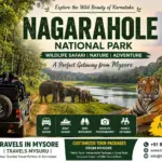 Nagarahole National Park Wildlife Safari Tour Package from Mysore by Travels Mysuru with Tiger, Elephants and Jeep Safari